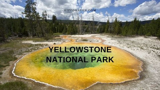 Yellowstone National Park