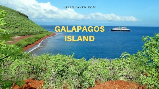 galapagos island