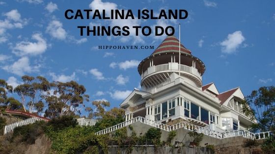 Catalina island things to do