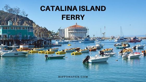 catalina island ferry