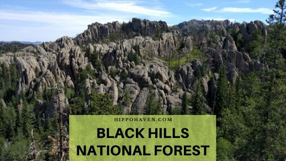 Black Hills National Forest