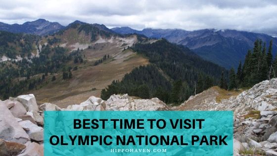 best time to visit Olympic national park