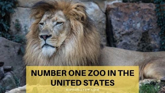 number one zoo in the united states