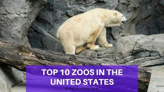 top 10 zoos in the united states