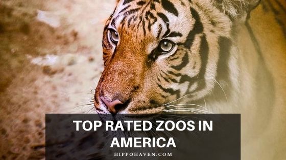 top rated zoos in America