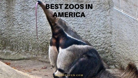 best zoos in America