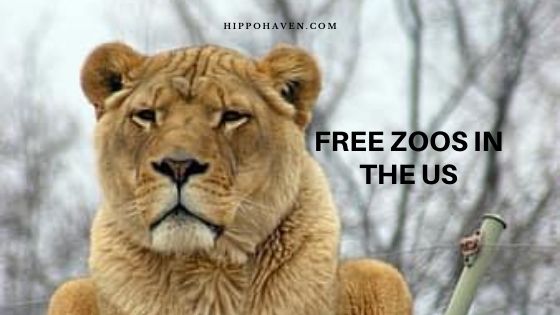 Free Zoos in the US