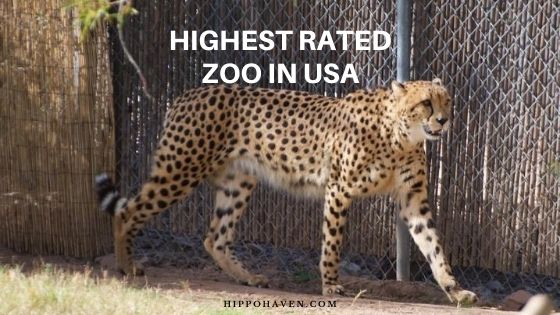 highest rated zoo in usa