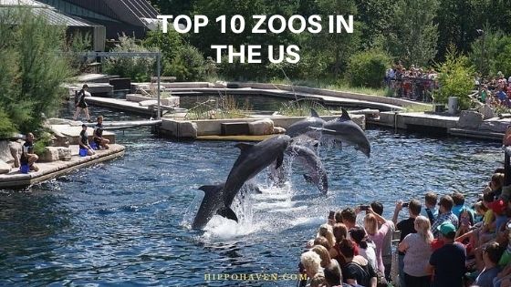 top 10 zoos in the us