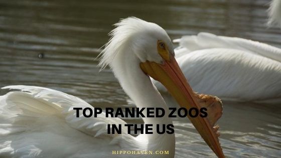 top ranked zoos in the us