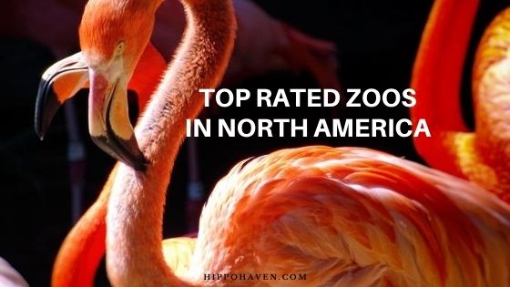 top rated zoos in north america