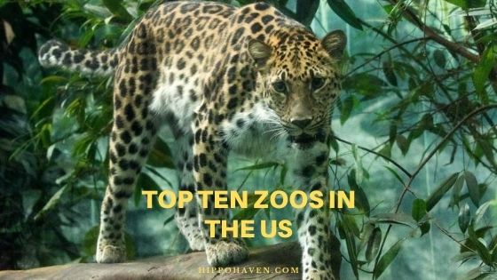 top ten zoos in the US