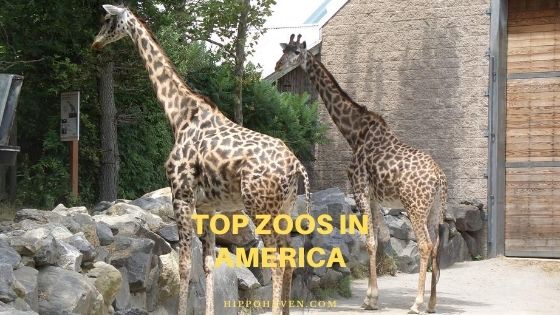 top zoos in America