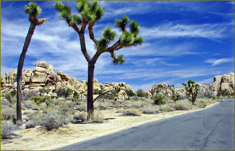 joshua tree attractions joshua tree national park joshua tree joshua tree campsites joshua tree airbnbs the joshua tree joshua tree park joshua national park jumbo rocks campground joshua tree inn cholla cactus garden joshua tree climbing joshua tree desert skull rock joshua tree joshua tree state park hidden valley joshua tree keys view joshua tree arch rock joshua tree cottonwood campground joshua tree joshua tree hiking joshua tree hot springs joshua tree at night joshua tree campground joshua tree visitors center best hiking in joshua tree joshua tree national park campsites planting joshua trees joshua tree np joshua tree bible joshua tree forest joshua tree 1991 black rock campground joshua tree joshua tree national park visitor center joshua tree elevation barker dam joshua tree joshua tree bouldering hidden valley campground joshua tree joshua tree national joshua tree cactus cap rock joshua tree lax to joshua tree joshua tree national forest joshua tree location joshua tree rock climbing cottonwood visitor center j tree hot springs near joshua tree jumbo rocks joshua tree sunrise joshua tree belle campground joshua tree joshua tree national monument joshua tree sunrise joshua tree day trip jtnp jumbo rocks campground joshua tree cholla cactus garden joshua tree joshua tree guide joshua tree rv park hipcamp joshua tree joshua tree accommodation joshua tree rocks black rock canyon campground visit joshua tree joshua tree winter joshua tree national park hiking joshua tree wildlife best campground in joshua tree joshua tree mountain project joshua tree east cottonwood joshua tree joshua tree tripadvisor joshua tree tree black rock joshua tree a joshua tree joshua tree mojave desert joshua state park joshua tree in january joshua tree to grand canyon joshua tree climbing guide joshua tree gift shop joshua tree national park location the joshua tree inn joshua tree cactus garden joshua tree in november natural hot springs near joshua tree joshua tree yurt giant rock joshua tree joshua tree attractions split rock joshua tree geology tour road cottonwood springs joshua tree joshua tree observatory joshua tree to do joshua tree monument joshua tree nps grand canyon to joshua tree blm joshua tree tree national park joshua tree in february maze loop joshua tree joshua tree vacation joshua tree altitude joshua tree national park elevation joshua tree wood joshua tree geology joshua tree national park tour joshua tree national park winter joshua tree national park airbnb joshua tree blm show me a joshua tree joshua tree blooms best campsites in joshua tree joshua tree national park tripadvisor joshua tree off road one day in joshua tree joshua tree trip joshua tree logo joshua tree christmas joshua tree national park night geology tour road joshua tree hidden valley joshua tree national park joshua tree rv yucca joshua tree joshua tree arch joshua tree in april blackrock campground joshua tree best joshua tree airbnb joshua tree hostel big rock joshua tree cottonwood visitor center joshua tree staying in joshua tree joshua tree lodge joshua tree national park campground joshua tree summer joshua tree national park skull rock sport climbing joshua tree joshua tree mountains visit joshua tree national park joshua tree national park rock climbing weekend in joshua tree joshua tree gifts joshua tree road joshua tree png growing joshua tree booking joshua tree joshua tree national park lodge joshua tree shop joshua tree paintings campsites near joshua tree joshua tree air b and b joshua tree domes water joshua tree joshua tree posters tree national night joshua tree the joshua tree national park the joshua tree park joshua tree to lax keys view joshua tree national park joshua tree ranch joshua tree to coachella joshua tree national park accommodation joshua park national park joshua tree to yosemite joshua cactus city near joshua tree national park joshua tree in july joshua tree to sequoia national park joshua tree in august pine city joshua tree joshua tree price joshua tree national park reviews sfo to joshua tree joshua tree pass joshua tree in october giant joshua tree best western gardens joshua tree towns near joshua tree joshua tree in joshua tree driving tour visitor center joshua tree joshua tree travel guide joshua tree national park climbing cholla garden joshua tree black rock canyon joshua tree joshua tree parking elevation joshua tree joshua tree in may joshua tree black rock joshua tree dam joshua tree national park association rei joshua tree joshua tree information joshua tree national park attractions joshua tree national park wildlife joshua tree national park pass joshua tree bouldering guide joshua tree hidden valley campground joshua tree road trip joshua tree park pass hidden valley national park