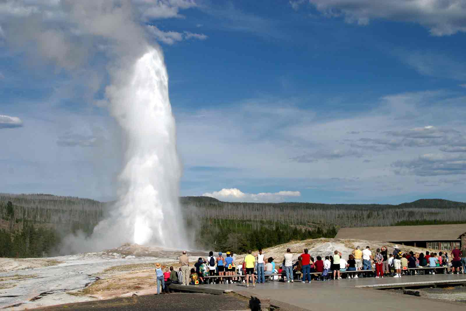 yellowstone backpacking trips