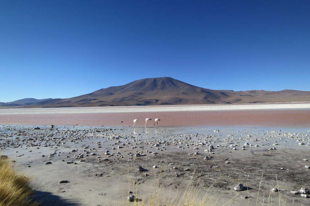 interesting facts about the Andes mountains